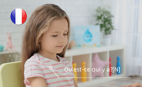 162 Hours - French(France) Children Real-world Casual Conversation and Monologue speech dataset