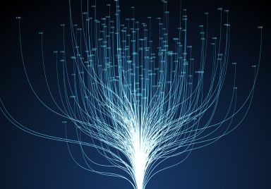 Nexdata RLHF Reinforcement Learning Annotation Project Case Study