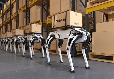 Case Study: Embodied AI Data Collection Project